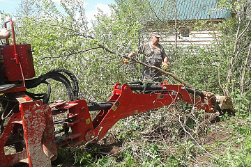 Расчистка от кустарника